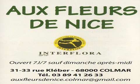 Sponsor